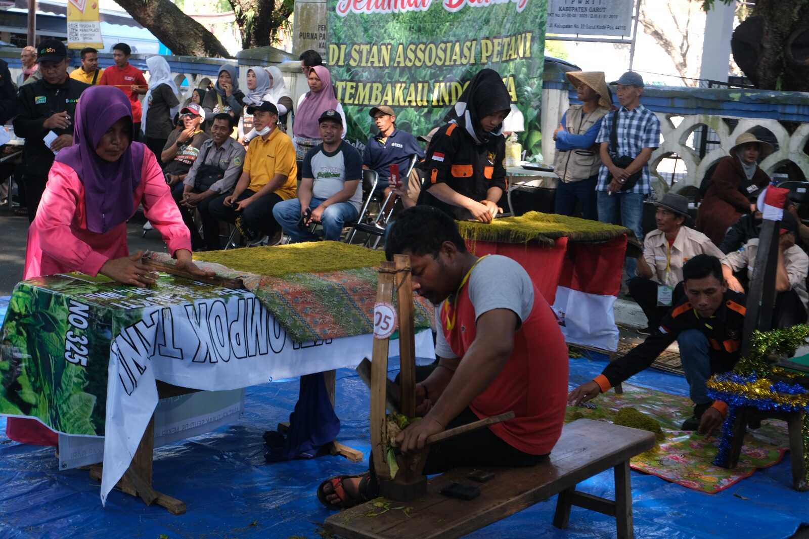 "Lomba Ngarajang Garut", Menjaga Tradisi Perajang Tembakau dalam Generasi Baru
